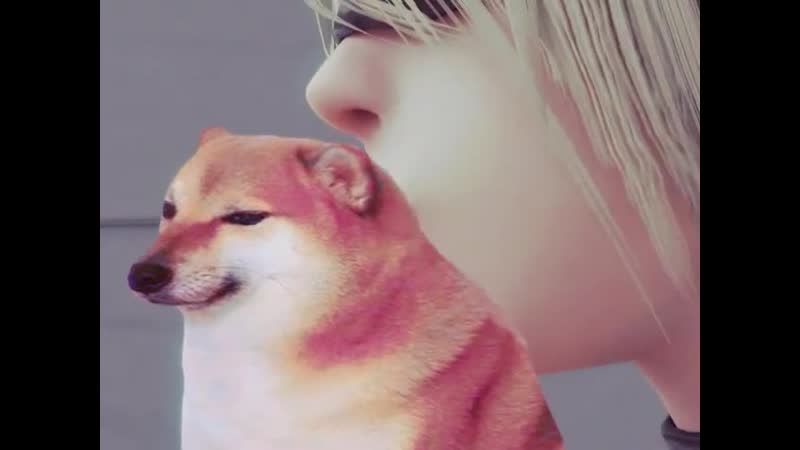 Файл смерти 897