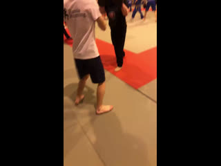 Live кудо г мышкин