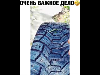 Спалил контуру на весь интернет 😆