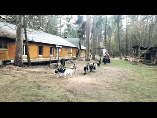 Пасхальная тренироа ильи и алясок )