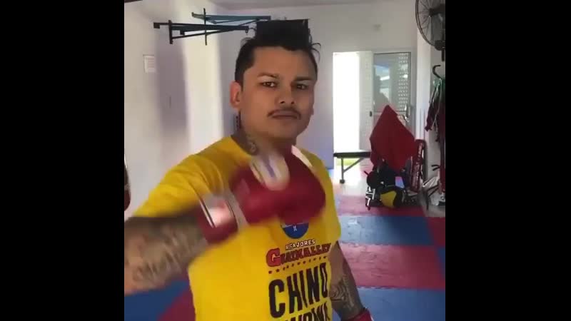 🎬маркос майдана обучает азам бокса🥊