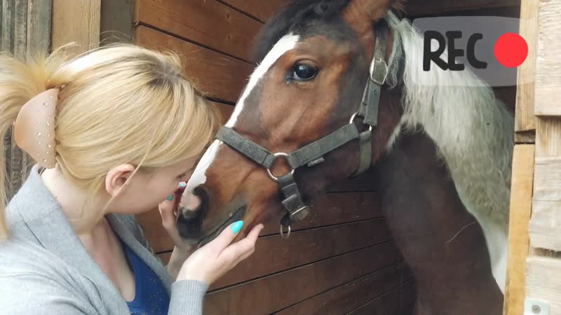 /у меня новая лошадь?!/покупка лошади/