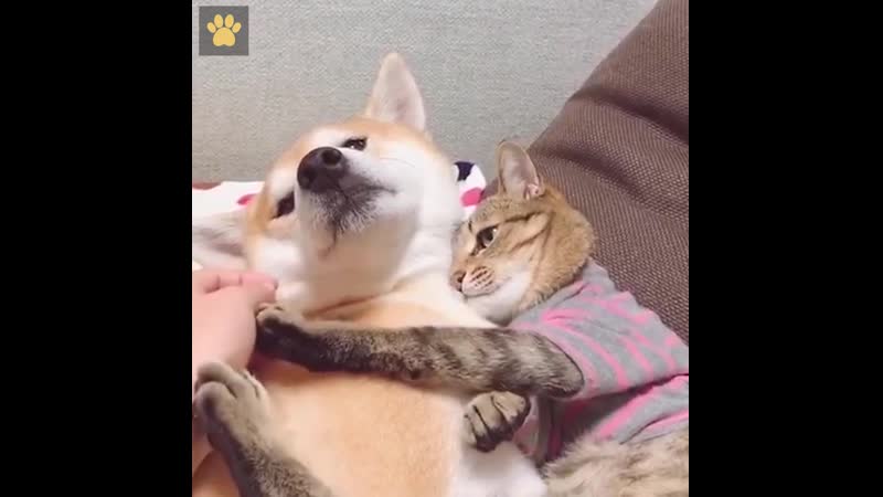 Не трогай, пожалуйста, мою молодые