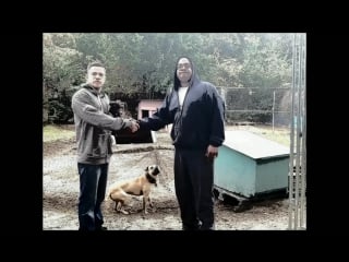 Thompsons kennel my glorious obsession