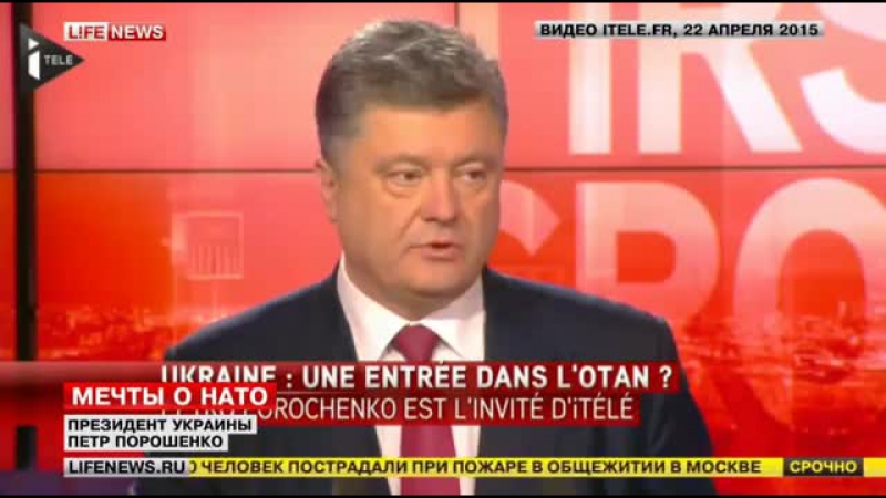 Референдум porn video – ✔ особое мнение петр порошенко анонсировал референдум о вступлении украины в нато