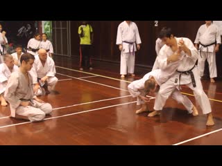 Tekki nidan bunkai part 2 naka sensei, siam camp 2015