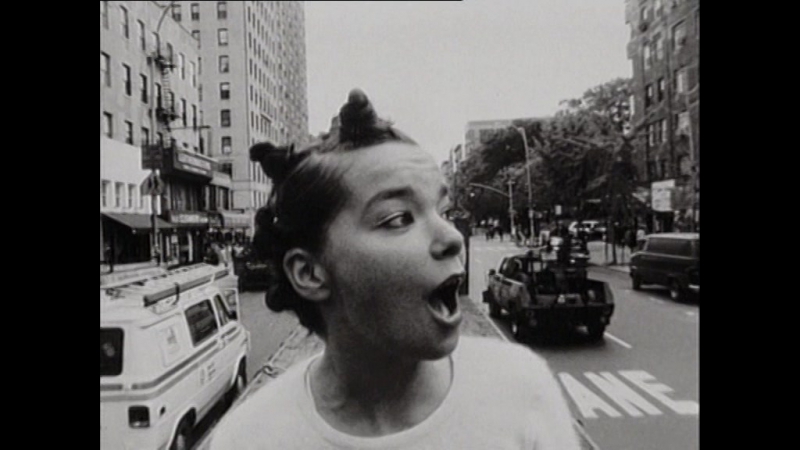 Björk big time sensuality bjork