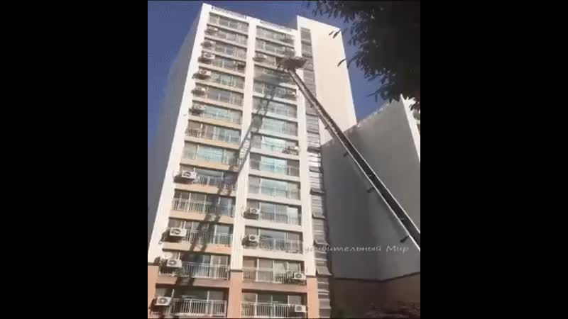 Осылай porn video – Осылай кошсенгой