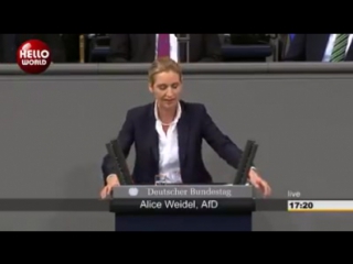 Rede von alice weidel im bundestag afd fordert klage gegen ezb programm