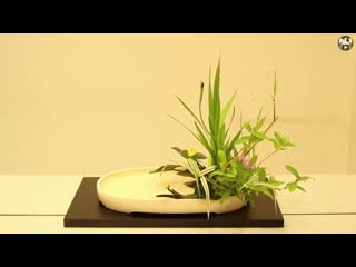 Japanese style flower arrangement ikebana ohararyu”