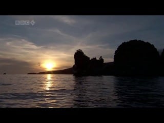 Bbc galapagos 2of3