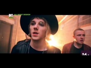 Darlia stars are aligned