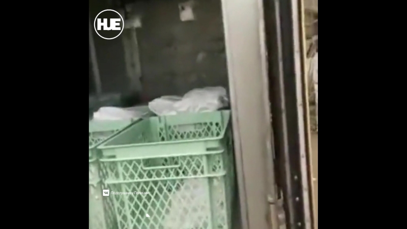 В волгоградской области уволили мужчину, который заснял, как полицейских кормят на помойке