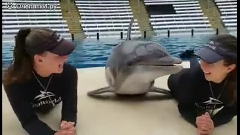 Любвеобильный