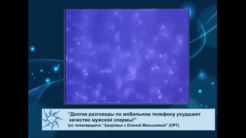 Электромагнитное излучение и качество спермы mp4