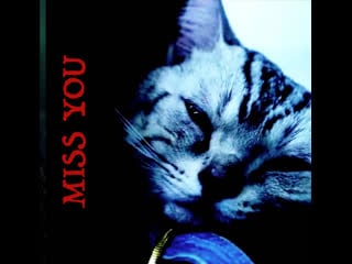 Cobo "miss you" (teser)