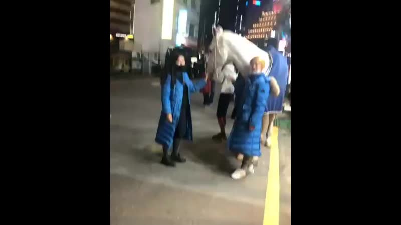 Ig 20200420 더킹영원의군주 더킹 정말 백마가 있네요 ㅎㅎ 드라마 촬영하는데 사람들의 관심이 이 흰말이 쏟다지네요 한마디로 멋있다! 그 자체네요