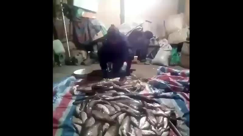 Муж пришёл с рыбалки, а жена