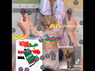 Шлепа девочки и тик ток