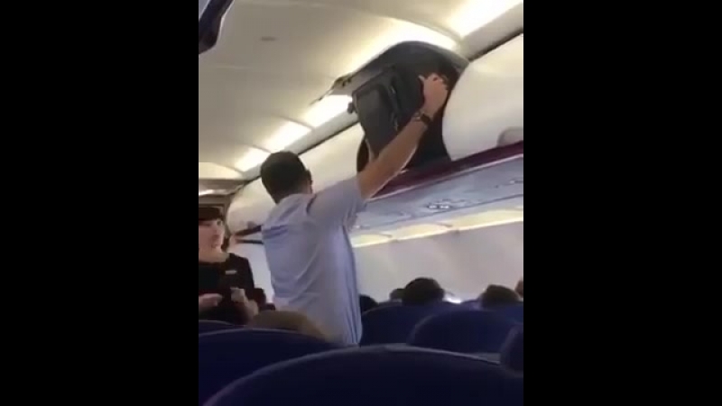 Тупость бывает и мужской