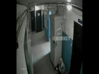 Нассала в подъезде