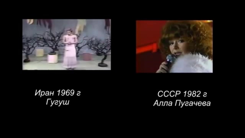 Откуда алла пугачева взяла песню «миллион алых роз»