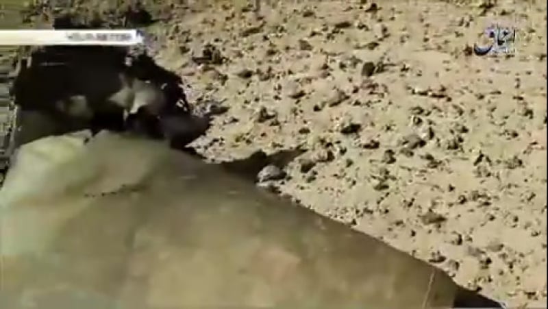 Опубликованы первые кадры с места крушения сирийского миг 23