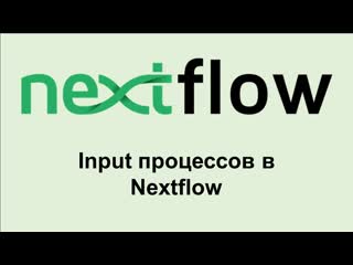 Nf8 раздел input в процессе nextflow