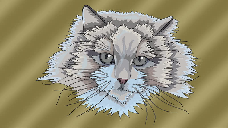 Cartoon style cat drawing in adobe illustrator time lapse art video by dks