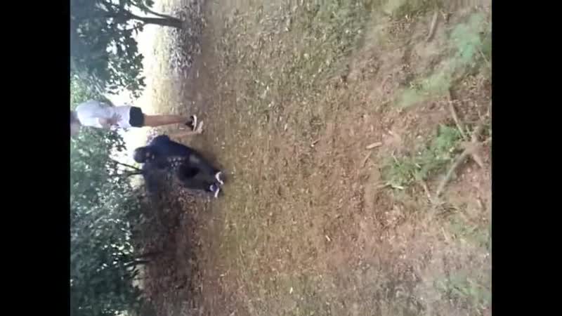 Asian foot worship chinese outdoor foot dominate фемдом femdom