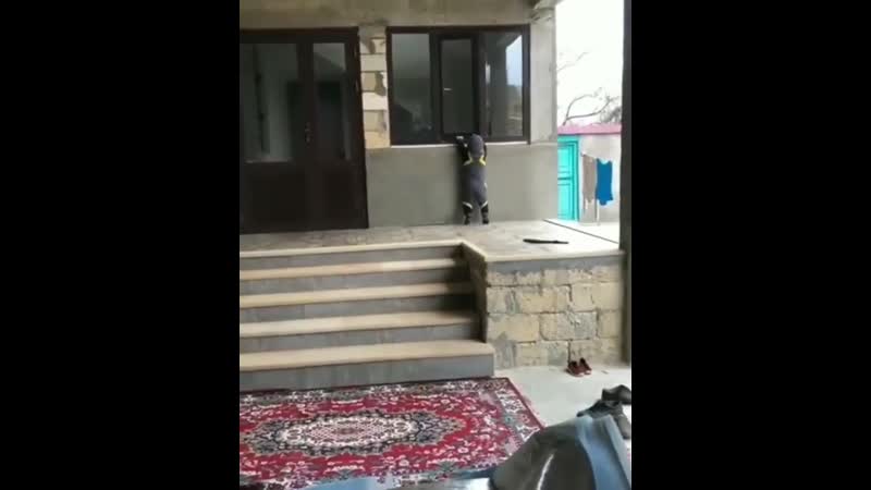 Упорство и труд всё перетрут)