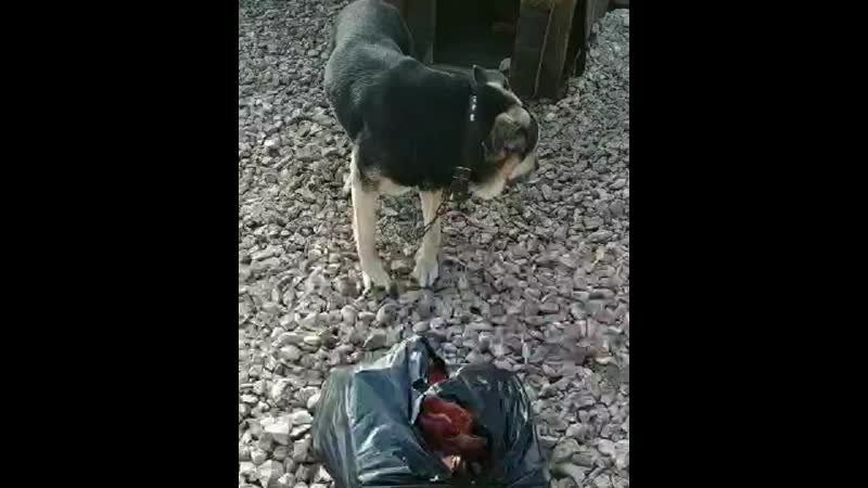 Пальчик жадина