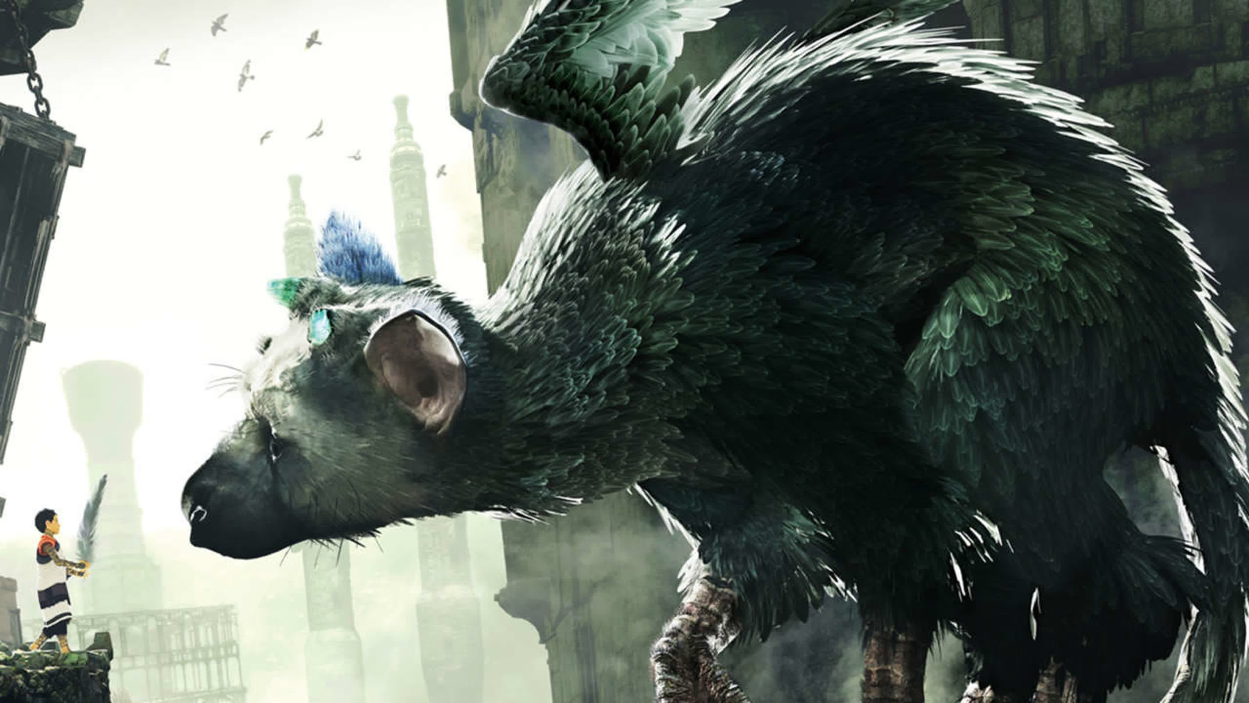 The last guardian  hitokui no owashi trico porn video on BrownPorn