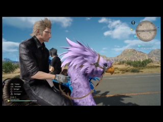 Ignis being cute with his big lilac birb