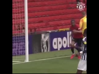 Chong goal vs west brom