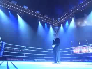 Peter aerts vs jérôme le banner (4 th fight)