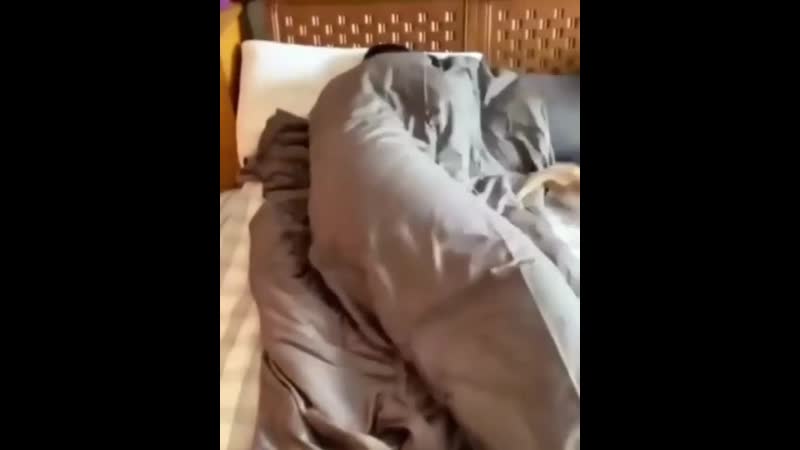 Утренний бодрящий тыгыдык