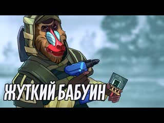 Жуткий бабуин | rainbow six siege