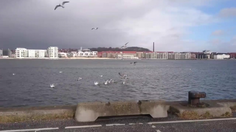 Danmark, aalborg 2015