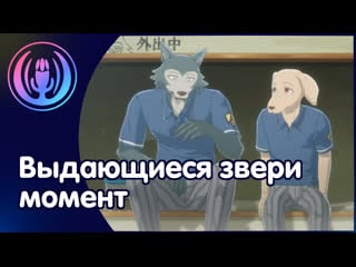 Beastars | выдающиеся звери момент из аниме | дубляж lemiankona | fandub