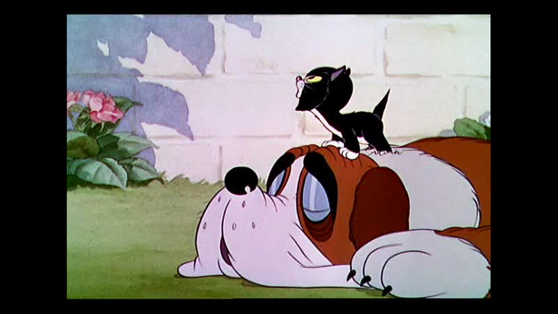 1936 porn video – 1936 12 19 {ss} more kittens)