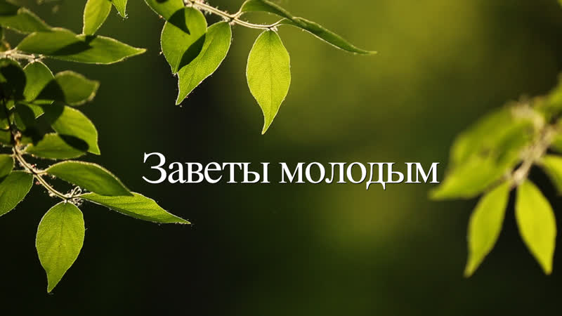 Заветы молодым