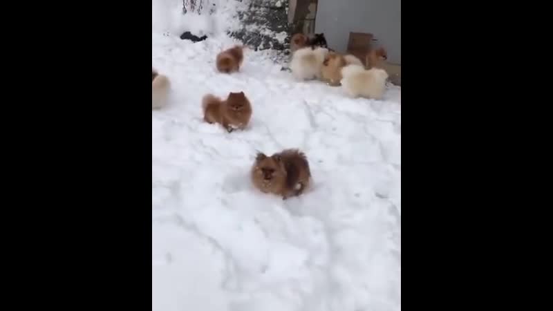 Ну очень красивые антидепрессанты)