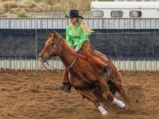 Everything that glitters is not gold dan seals