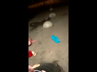 Когда хочешь анала