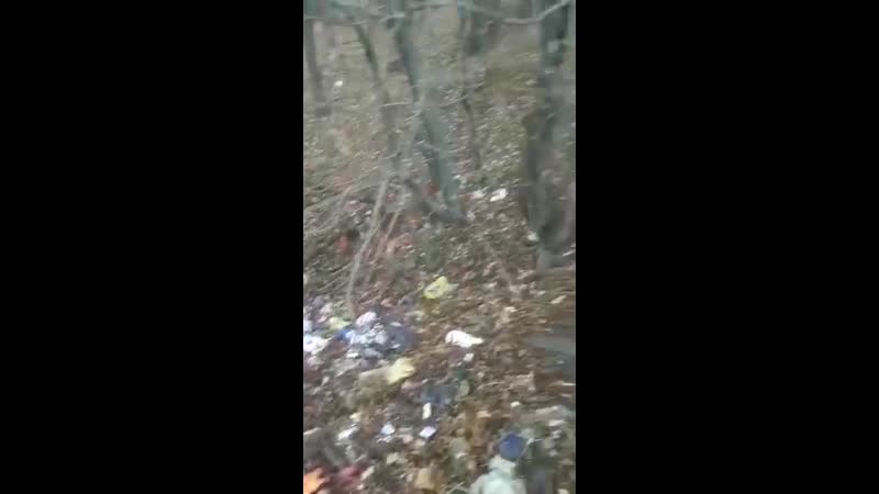 Пос липовое, харцызск