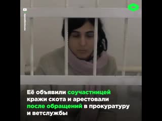 В краснодарских хозяйствах mp4