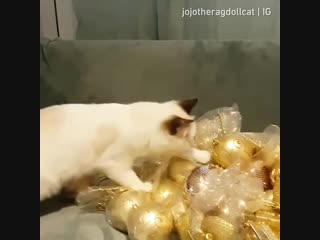 Chrismas helper
