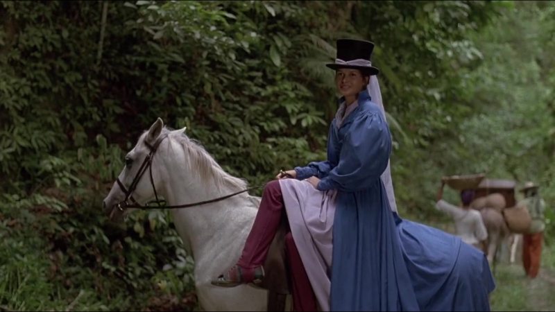 Широкое саргассово море (wide sargasso sea) 1992