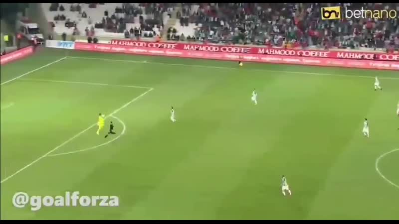 Вратарь удалился